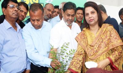 বাসযোগ্য ঢাকা গড়তে বৃক্ষরোপণকে সামাজিক আন্দোলনে রূপ দিতে হবে