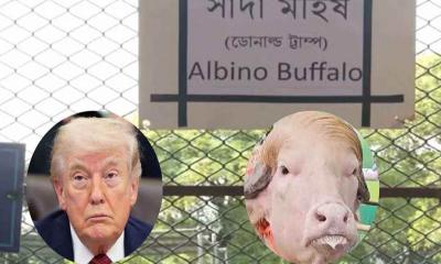 ‘ডোনাল্ড ট্রাম্প’ বানান ভুল লিখে ভাইরাল চিড়িয়াখানা কর্তৃপক্ষ
