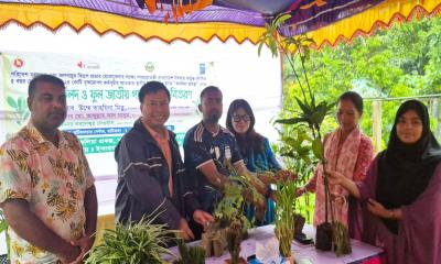 মাটিরাঙ্গায় করলিয়া প্রকল্পের আওতায় ফলদ, বনজ ও ফুলের চারা বিতরণ
