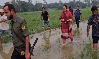 শাহজাদপুরে জুয়াড়িদের ধরতে পানিতে নামলেন ইউএনও, আসর থেকে ১৪ জুয়াড়ি আটক