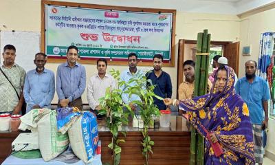 গোয়াইনঘাটে কৃষকদের মধ্যে বিনামূল্যে গাছের চারা, জৈব সার ও বাঁশ বিতরণ