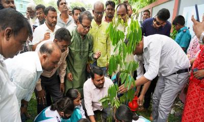 রাজশাহী কোর্ট একাডেমিতে বৃক্ষরোপণ কর্মসূচির উদ্বোধন