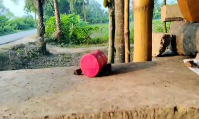 গাংনীতে বোমাসদৃশ বস্তু ও হুমকিমূলক চিরকুট উদ্ধার