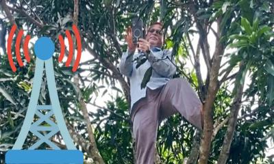 অনলাইনে হাজিরা দিতে আমগাছে শিক্ষক, উঁচুতে নেটওয়ার্কের খোঁজে বিজ্ঞান কী বলে?
