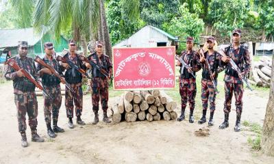 রাঙ্গামাটিতে অবৈধভাবে পাচারকালে বিজিবির অভিযানে সেগুন কাঠ জব্দ