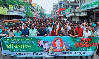 মেহেরপুরে বিএনপির বিক্ষোভ মিছিল ও সমাবেশ