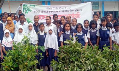 বোদায় ‘এক শিশু, একটি গাছ’ কর্মসূচিতে ২০ হাজার চারা বিতরণ