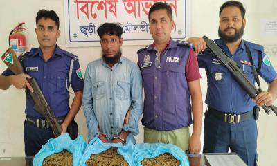 জুড়ীতে গাঁজাসহ আটক ১