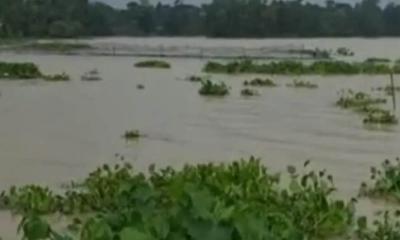 চকরিয়ায় ঝর্ণার মৃত্যু হলো বন্যার পানিতে