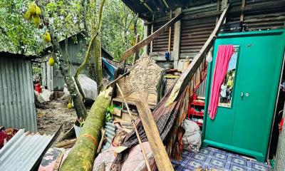 মতলব উত্তরে ঝড়ে ঘরের ওপর গাছ ভেঙে শিশুর মৃত্যু