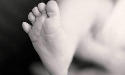 শাহরাস্তিতে খাল থেকে নবজাতকের মৃতদেহ উদ্ধার