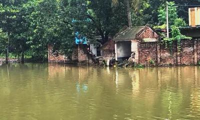 মুজিবনগরে পানিবন্দী ৩৫টি পরিবার, চরম দুর্ভোগে মানুষ ও গবাদিপশু