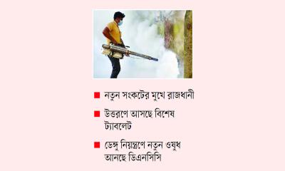 ডেঙ্গু দমনে ব্যর্থ কীটনাশক