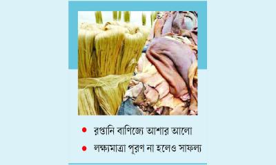 চমক দেখাচ্ছে পাট ও চামড়া খাত