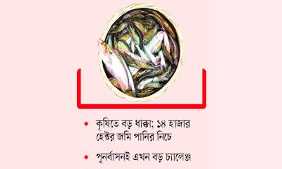 মৎস্য খাতে ৯১ কোটি টাকার বিপর্যয়