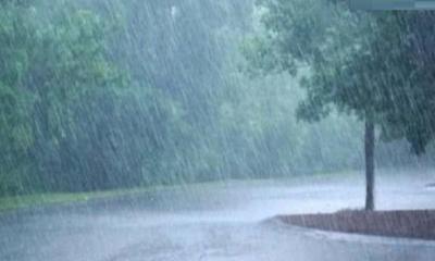 দুই জেলায় ৬০ কিলোমিটার বেগে ঝড়ের শঙ্কা