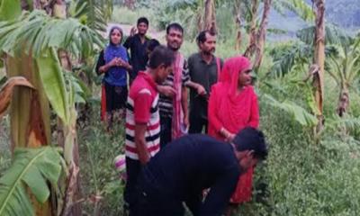 দর্শনা সীমান্তে ১১ জনকে পুশইনের চেষ্টা, বিজিবির বাধা