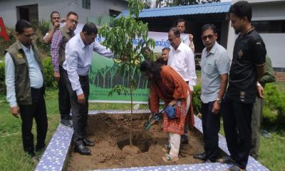 মাটিরাঙ্গায় বিনামূল্যে ১৪ হাজার চারা বিতরণ করবে বন বিভাগ