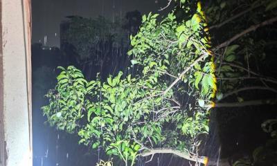 তীব্র তাপদাহের পর কালিয়াকৈরে স্বস্তির বৃষ্টি