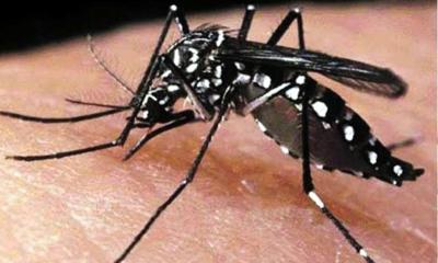 ডেঙ্গুতে আরও ৫ জনের মৃত্যু