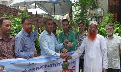পটুয়াখালীতে বিএআরআইর ৩ হাজার ফলদ গাছের চারা বিতরণ