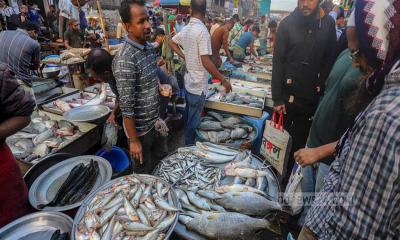 সবজিতে স্বস্তি, বেড়েছে ডিম-মাছের দাম