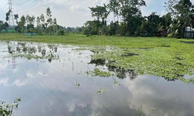 ড্রেন বন্ধ, জলাবদ্ধতায় দুর্ভোগে জামালপুর সদরের পাঁচ গ্রামের মানুষ