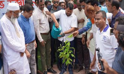 রাজশাহীতে বৃক্ষরোপণ কর্মসূচির উদ্বোধন করলেন রাসিক প্রশাসক