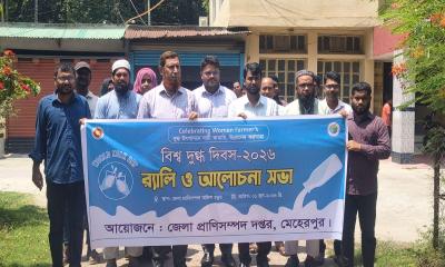 মেহেরপুরে বিশ্ব দুগ্ধ দিবস উপলক্ষে র‍্যালি ও আলোচনা সভা