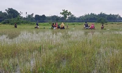 বিজিবি-বিএসএফ টানাপোড়েনে শূন্যরেখায় আটকে ১০ জন