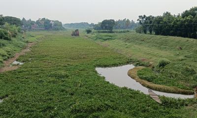 কোটি টাকার খননেও সুফল মেলেনি কপোতাক্ষ নদে